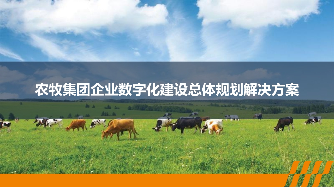 农牧集团企业数字化建设总体规划解决方案[50页PPT]